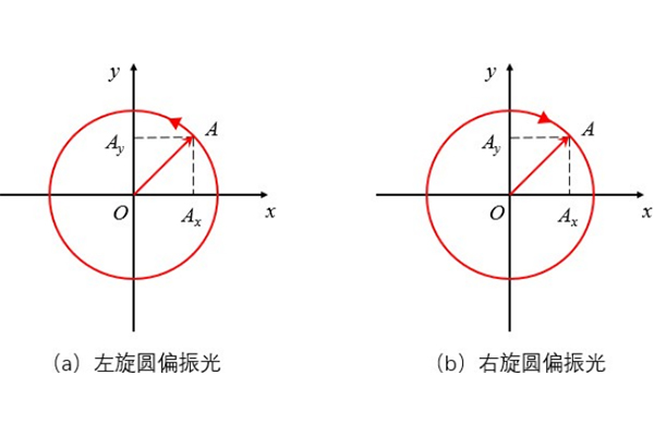 250 6